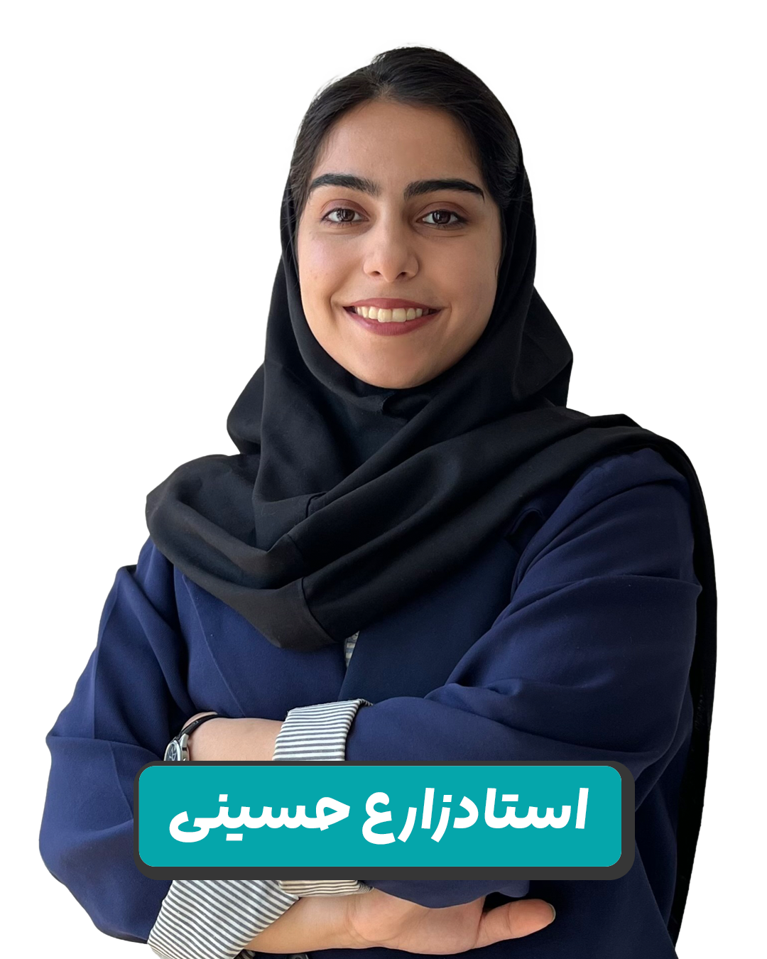 مینا  زارع حسینی